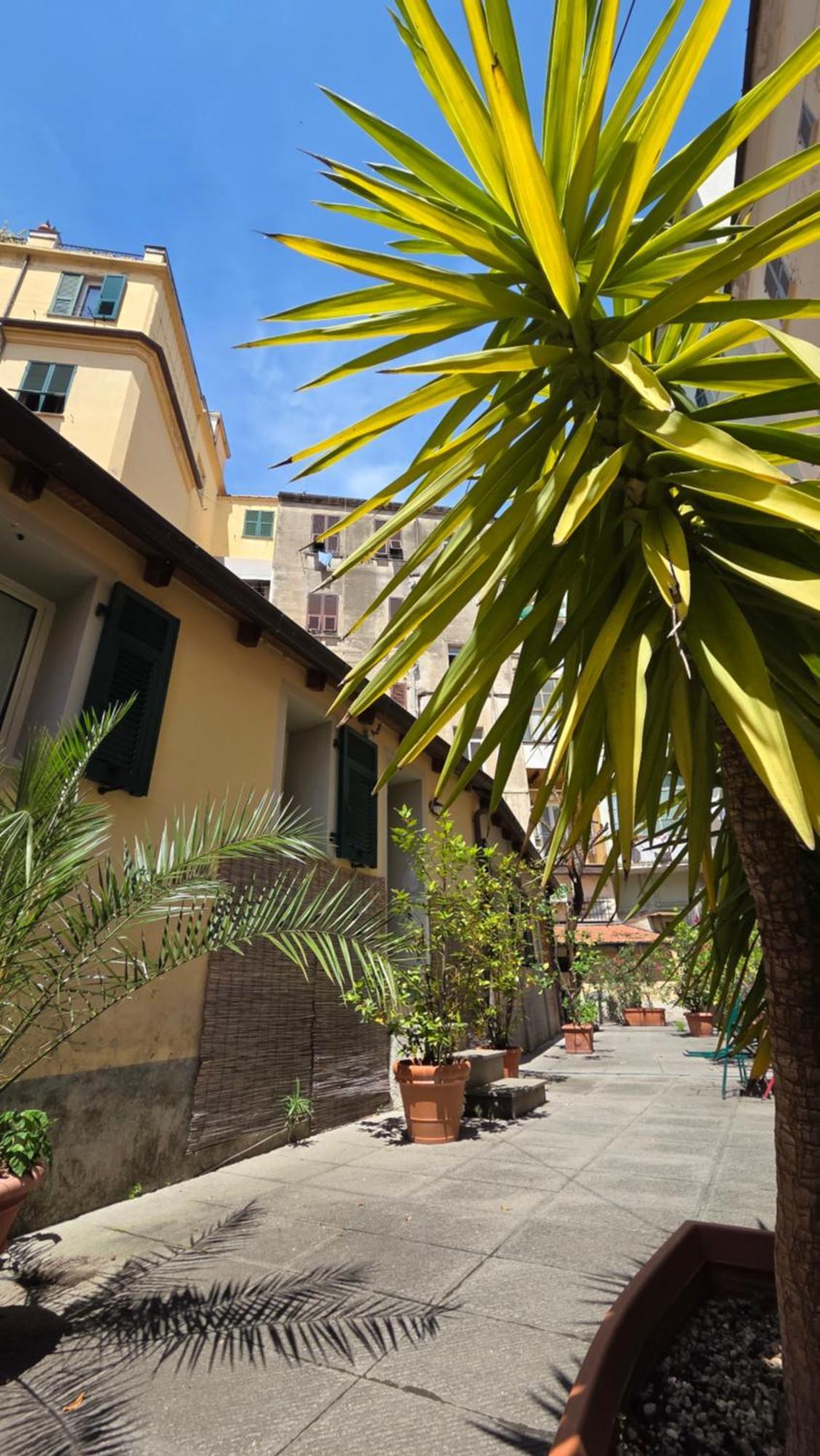 Casa con giardino città
