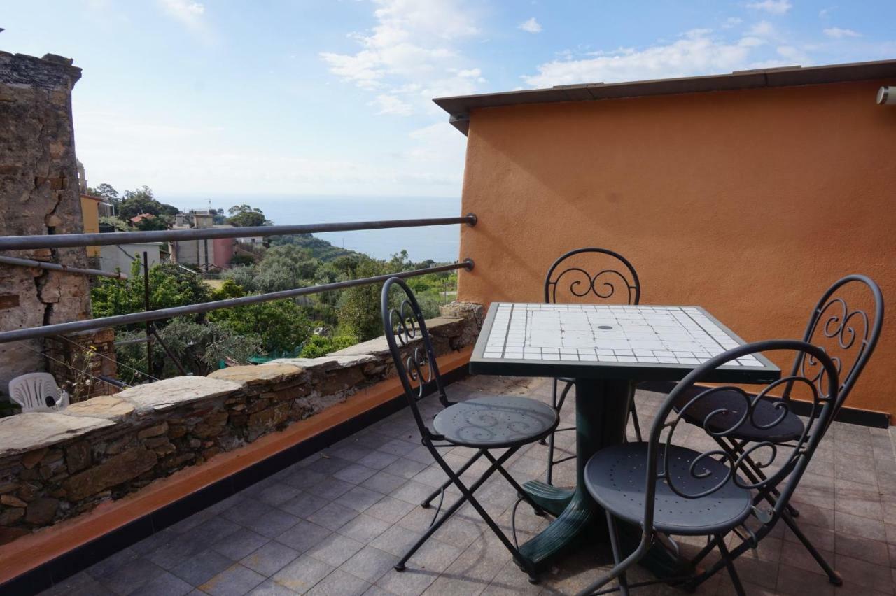 Studio with Terrace,791572458:JPEG
