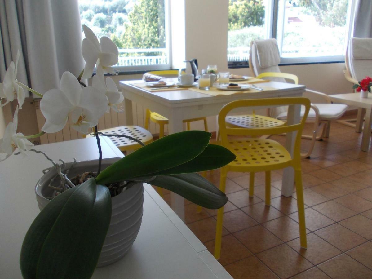 Studio mit Terrasse
