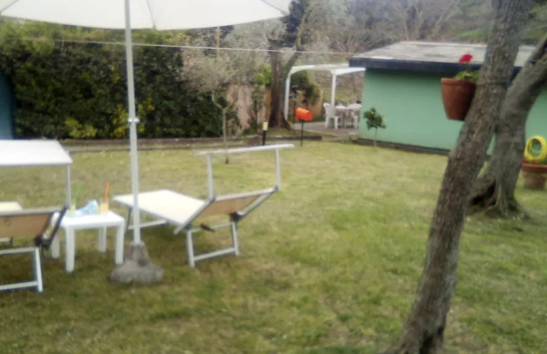 Lo Chalet Tra Gli Ulivi-1