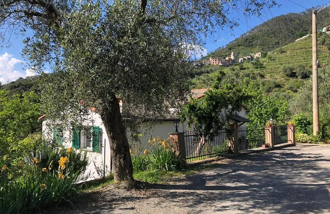 Dolcevia-1