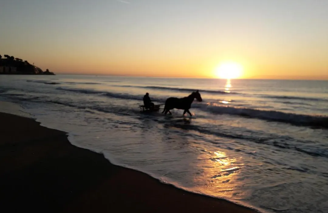B&B Nido Sul Mare-1