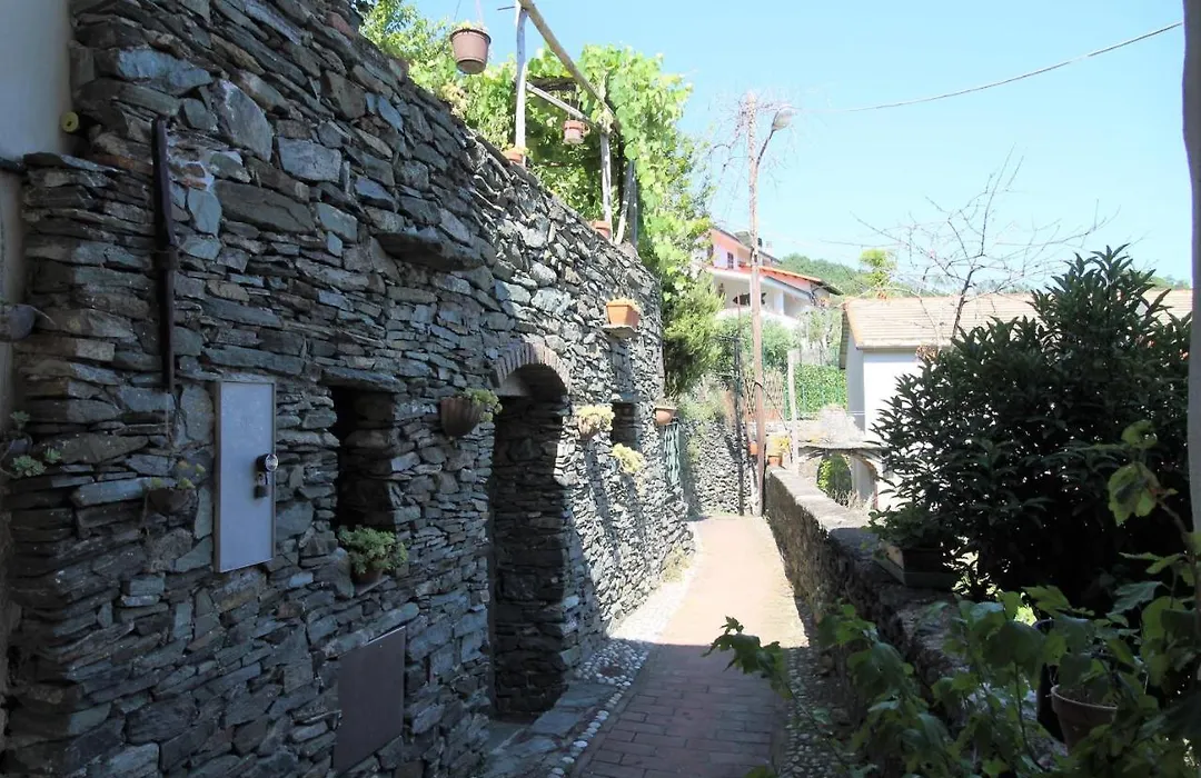 Il Rosale A Celle Ligure-1