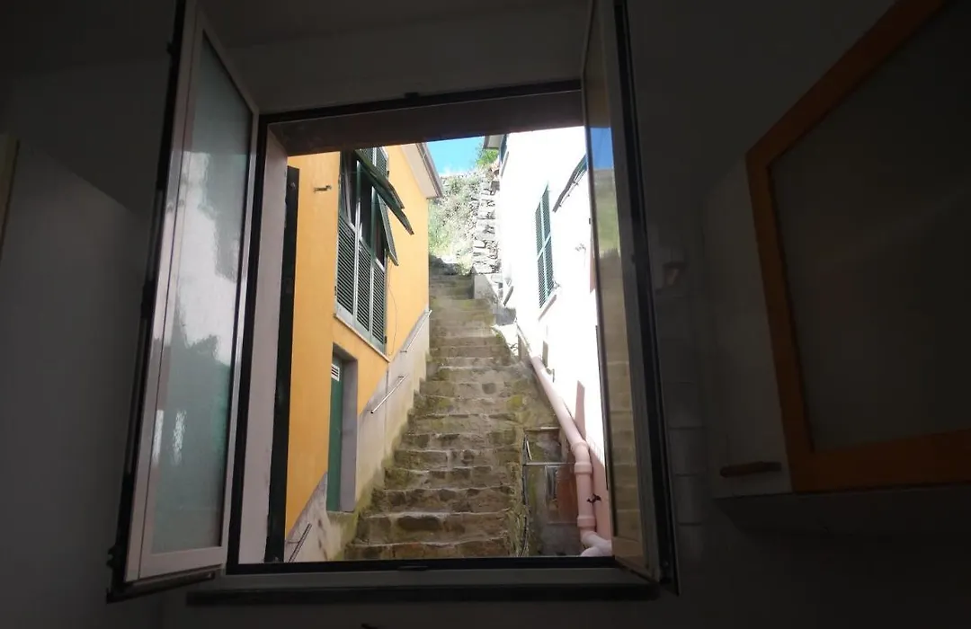 Irma Manarola-1