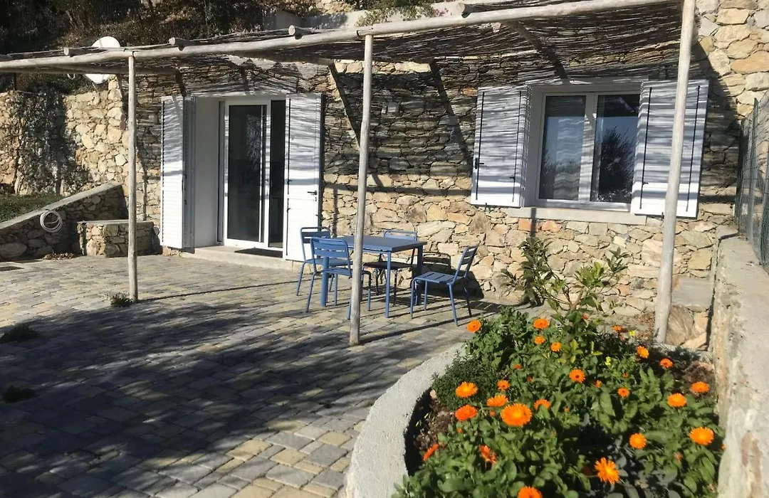 Belvedere20Guesthouse-1