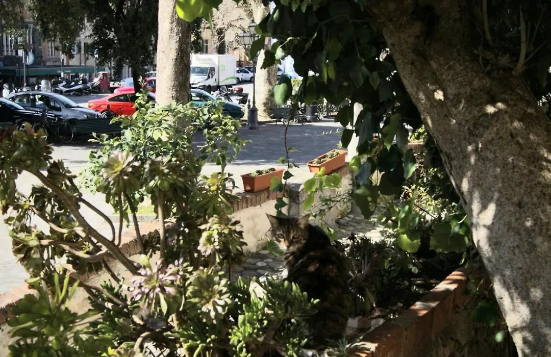 Affittacamere La Loggia-1
