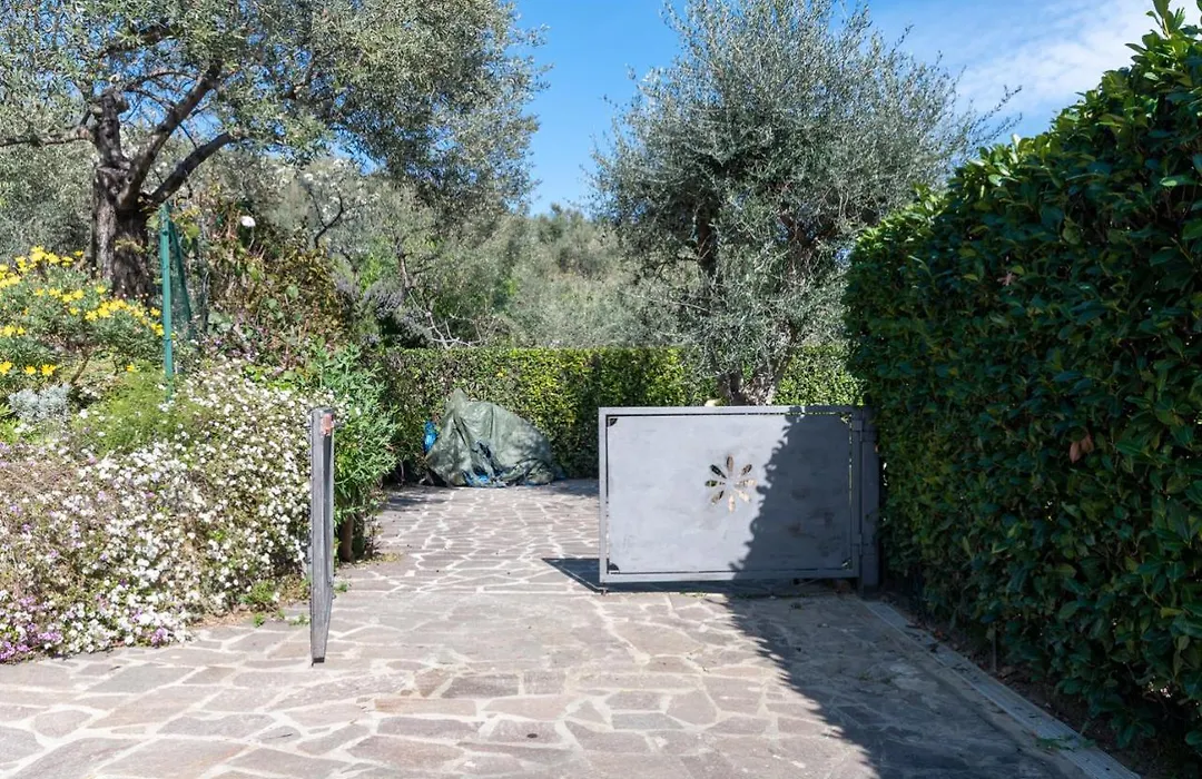 L'Ulivo Di Cecilia-1