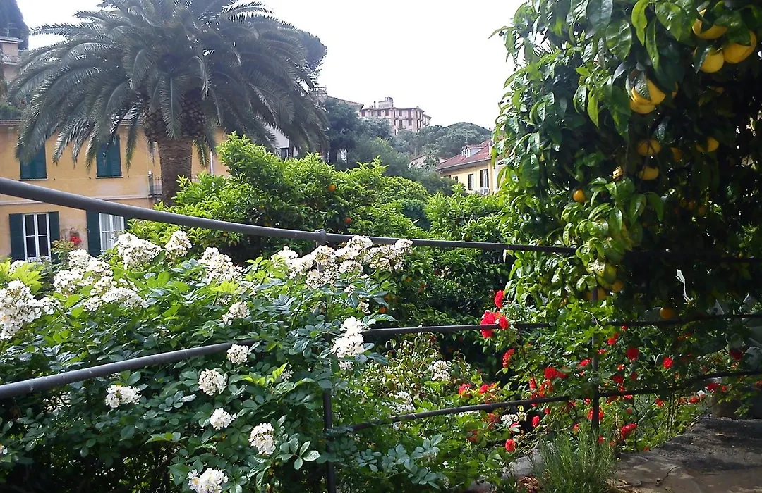 Hotel Canali, Portofino Coast-1