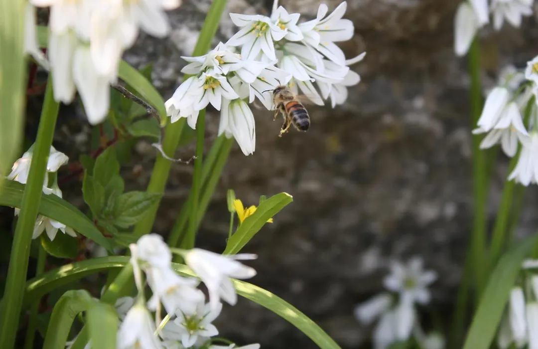 L'Antico Borgo B&B-1