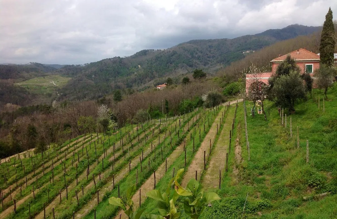 Agriturismo Cerrolungo-1