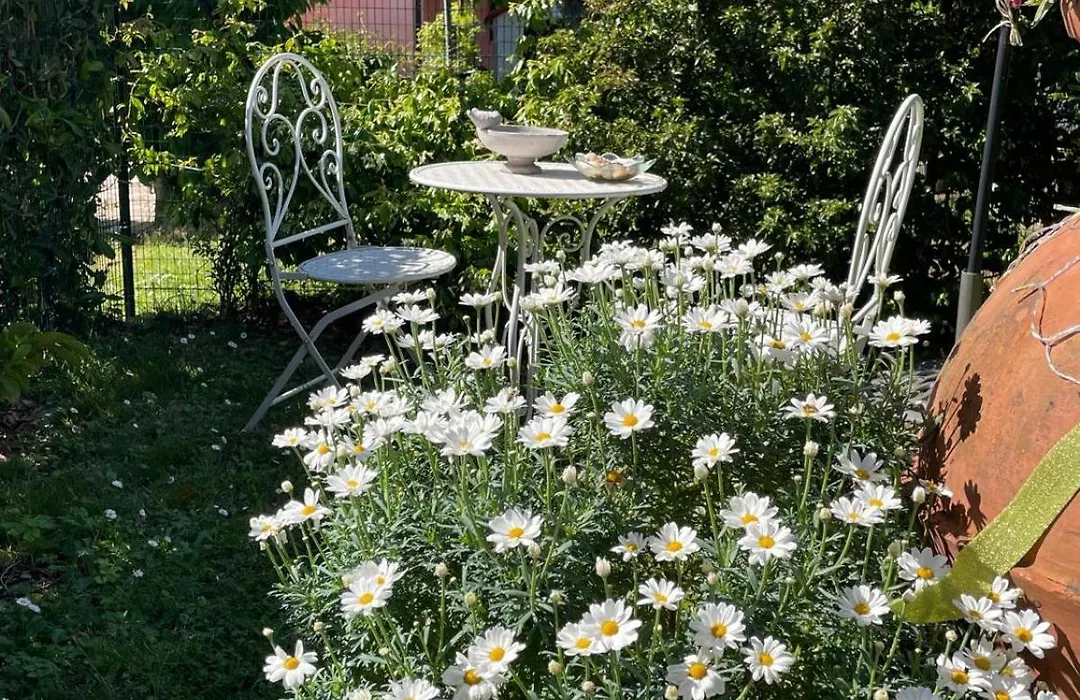 Annali Casa Vacanze - Shabby Style Nella Natura-1
