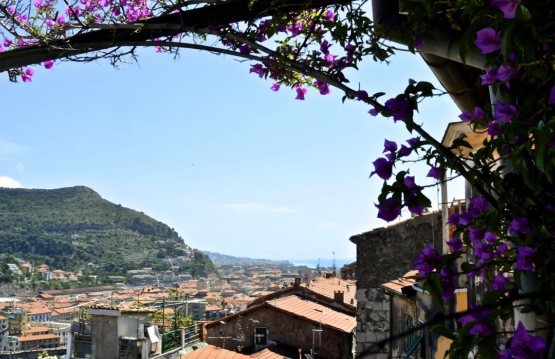 La Terrazza dei Pelargoni B&B-1