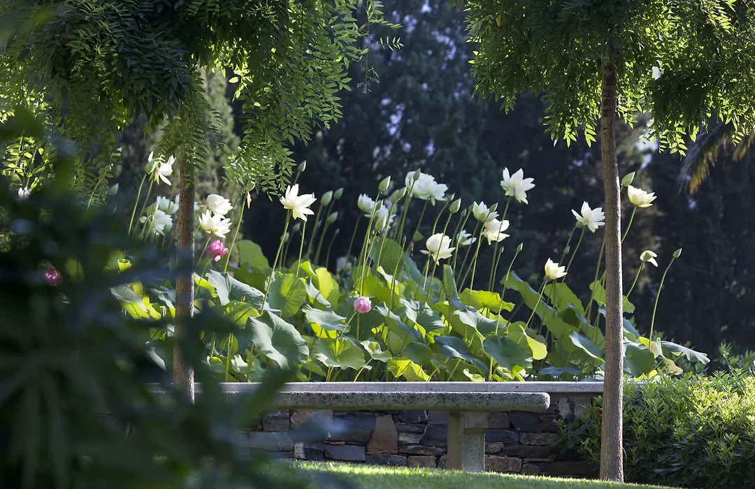 Villa della Pergola Relais et Chateaux-1