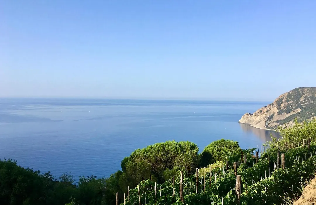Villa Pietrafiore-1