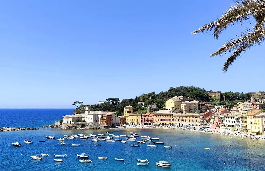 B&B Terra Di Liguria-1