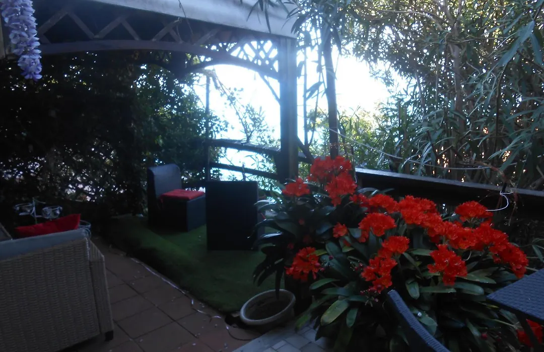 The Sunset View-1