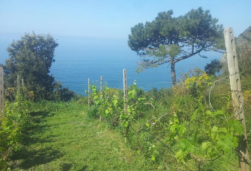 Apartment Camere Cinque Terre Andrea-1