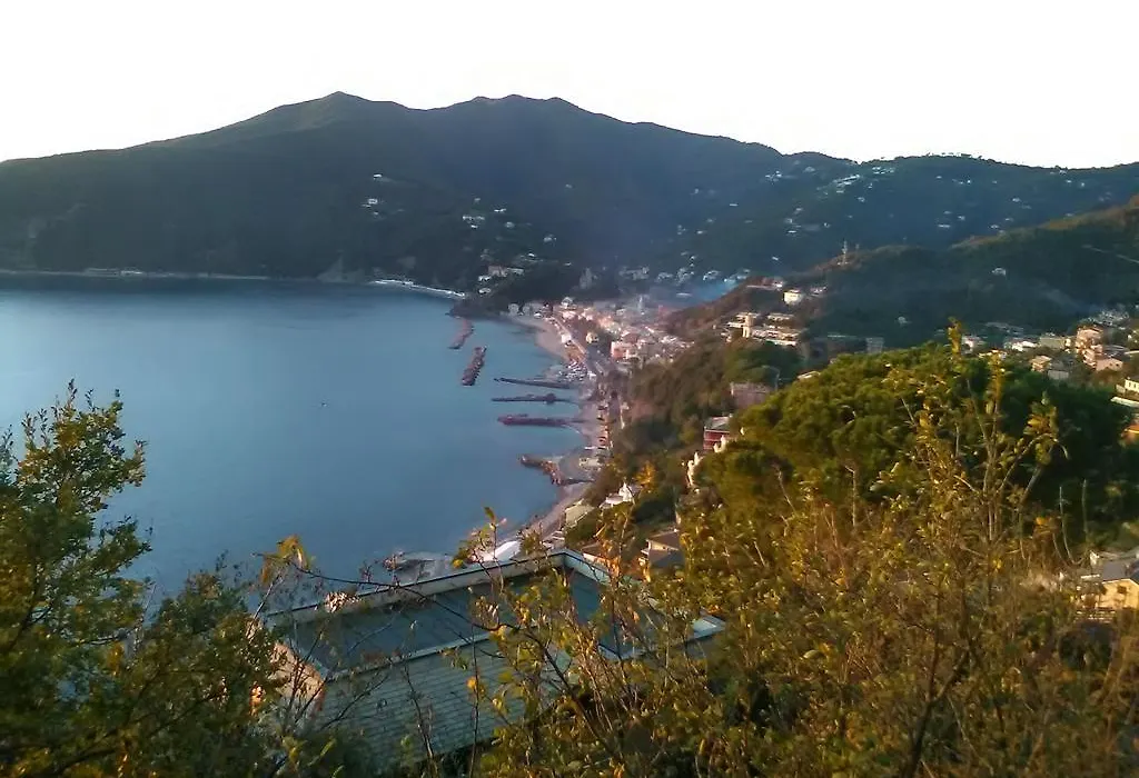 Casa Dell'Ulivo-1