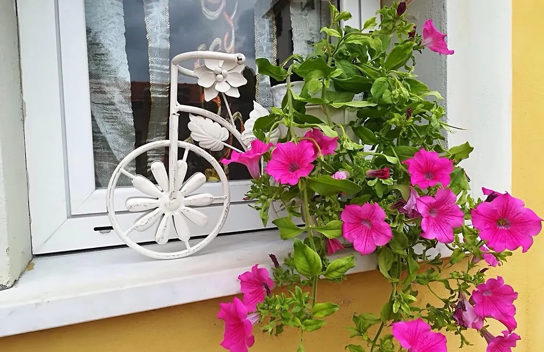 Locanda Del Golfo-1