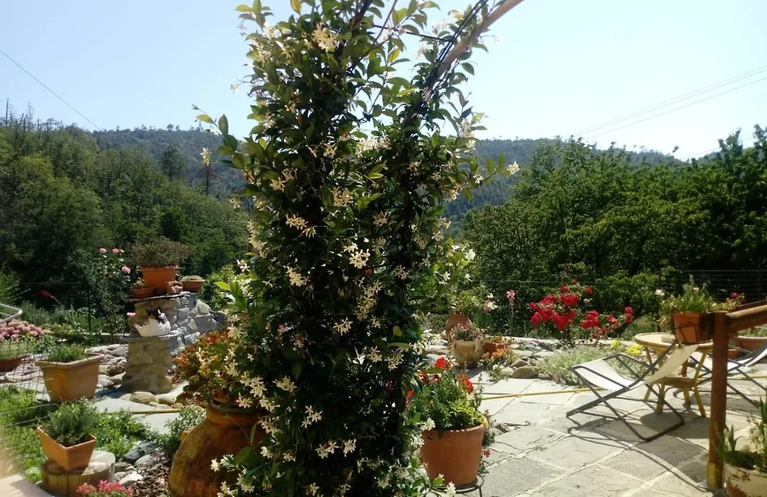 Affittacamere Graziella-1