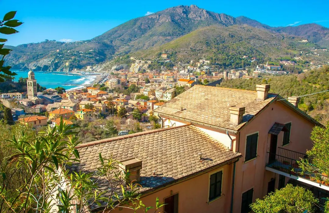 Olivi del Mesco-1