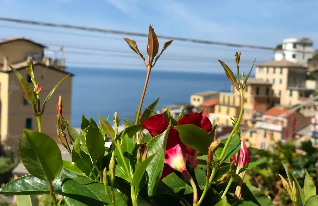 Cinque Terre Coast To Coast-1