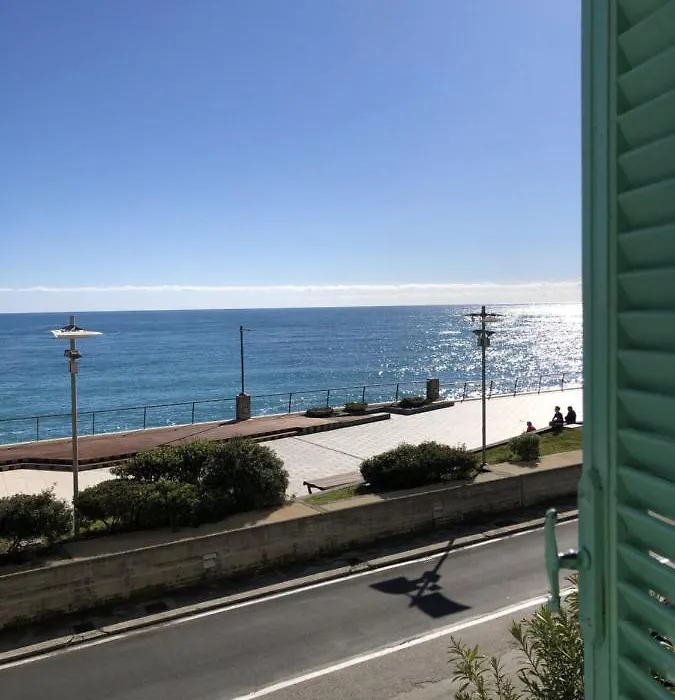 Camera Carolina-1