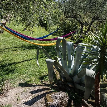 La Fattoria Di Nonna Eugenia-3