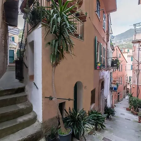 Monterosso Al Mare 20-2