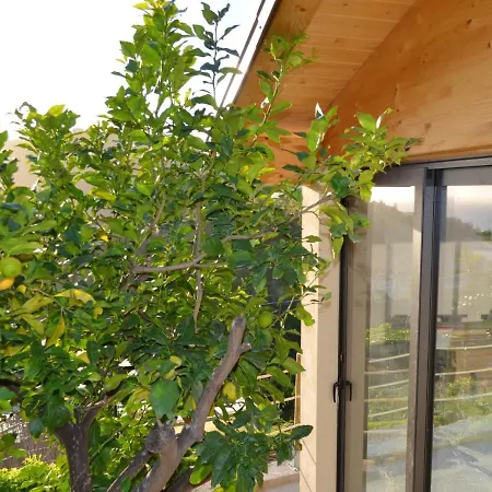 3 Bedrooms House With Sea View Furnished Garden And Wifi At Bordighera-2