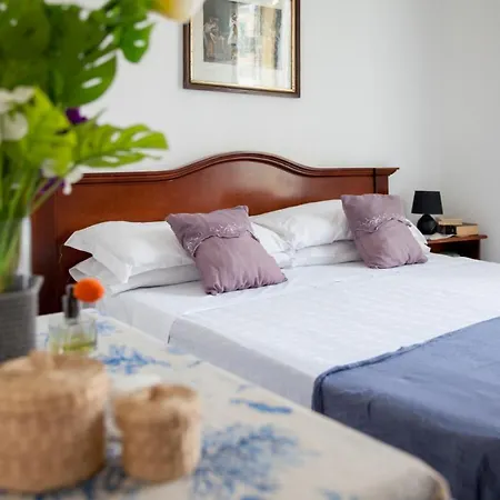 Hotel Mimosa-3