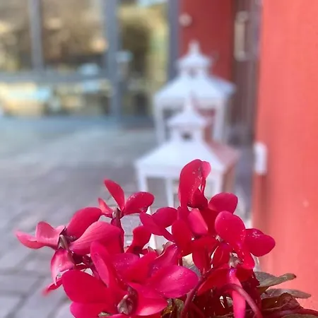 La Casina Rossa Affittacamere-2