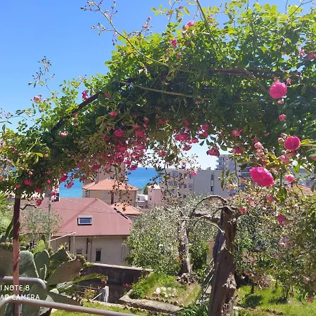 b&b bellavista-3