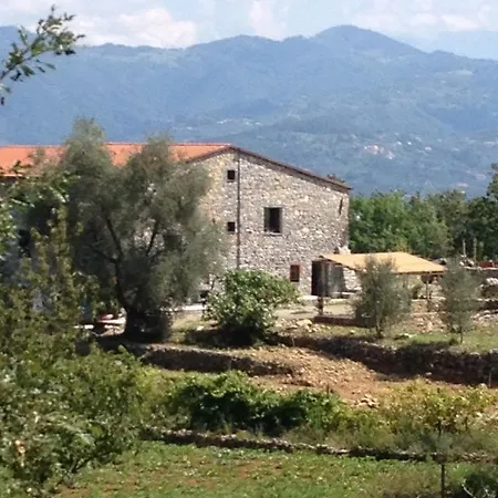 B&B Oca Nera Lerici-2