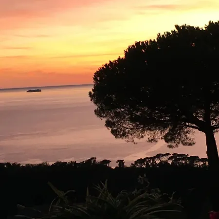 B&B Villa Orchidea-2