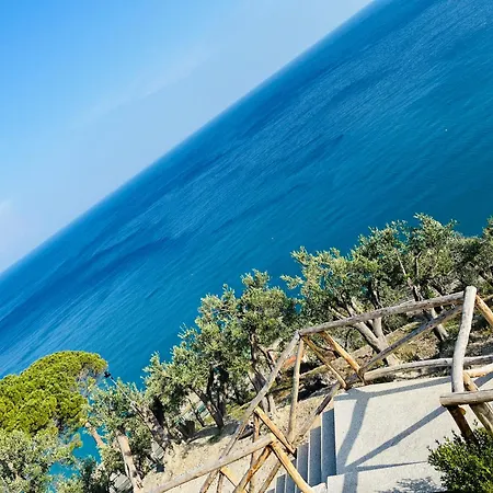 Eufonia del Mare-3