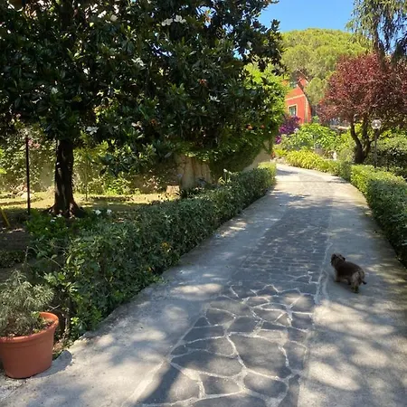Le Magnolie-3