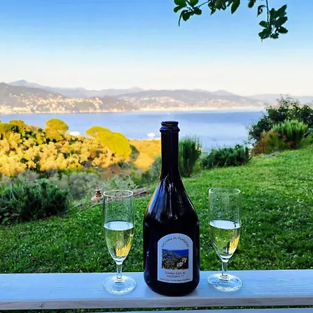Agriturismo Terre Rosse Portofino-3