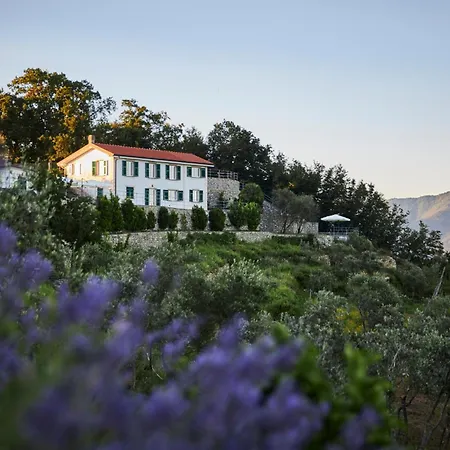 Il Leccio - Luxury Resort Portofino Monte-3