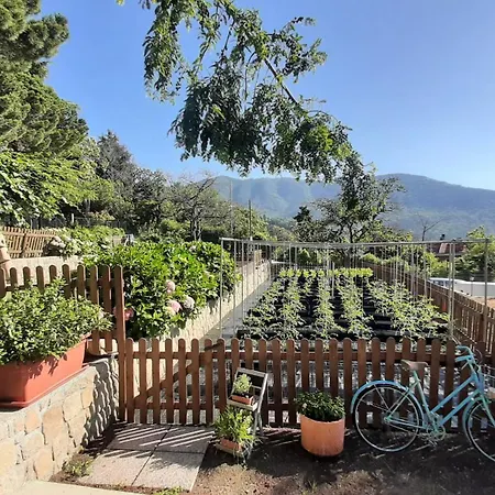B&B Ca' De Angiolina-2