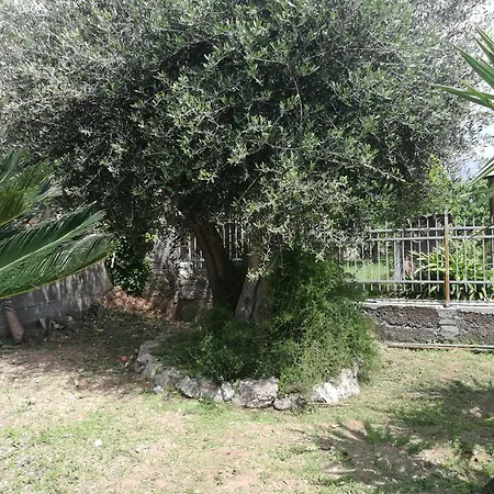 b&b bellavista-2