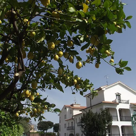 Riviera Apartments-2