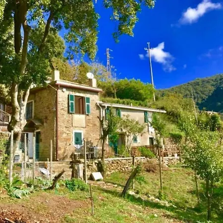 La quiete accesa-2