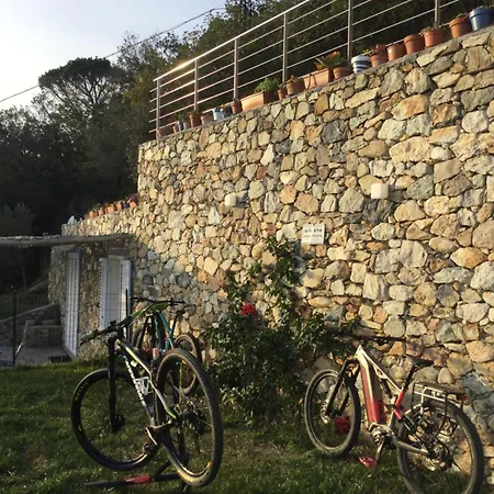Belvedere20Guesthouse-2