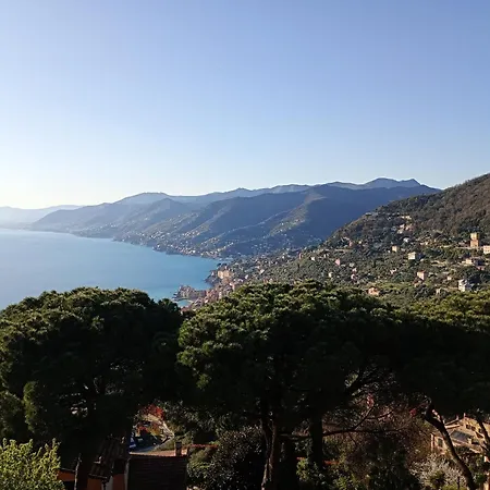 Golfo Paradiso-2