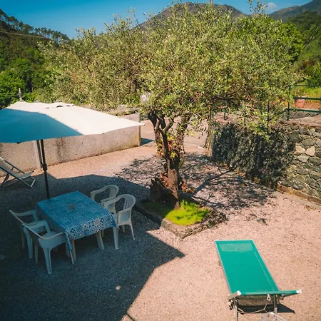 L'Ulivo - Nature & Relax-2
