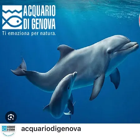 Casa Mia Bogliasco Mare&Centro-3