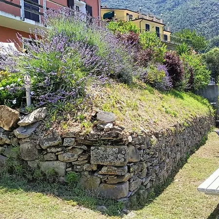 Agriturismo Orto dei Rolli-3