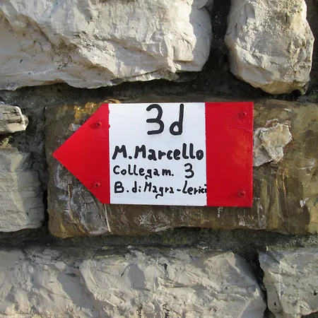 Hotel Del Golfo-2