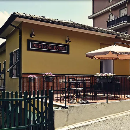 Pineta del Borgo-2